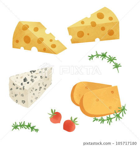 不同種類的奶酪的插圖 105717180