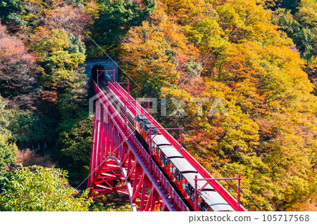 秋天的黑部峽谷:新山彥橋上行駛的小火車 秋天的黑部峽谷:新山彥橋上行駛的小火車 105717568