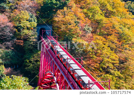 秋天的黑部峽谷:新山彥橋上行駛的小火車 秋天的黑部峽谷:新山彥橋上行駛的小火車 105717574