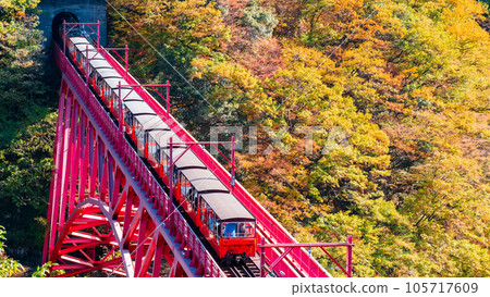 Kurobe Gorge in Autumn: Torokko Train Running on Shinyamabiko Bridge Kurobe Gorge in Autumn: Torokko Train Running on Shinyamabiko Bridge 105717609