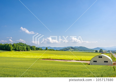Furano rural scenery hills Hokkaido 105717880