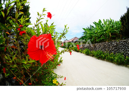 竹富島的風景 105717930