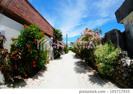 竹富島的風景 105717935