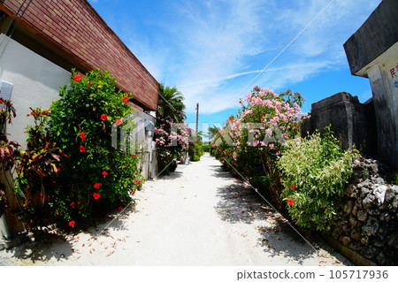 竹富島的風景 105717936