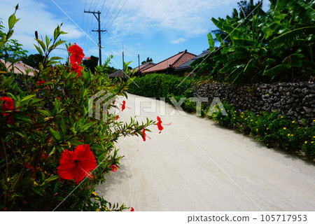 Scenery of Taketomijima Scenery of Taketomijima 105717953