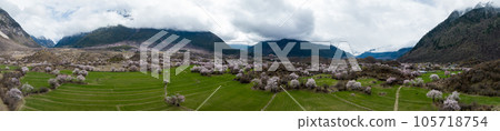 Aerial view of spring landscape in tibet, China 105718754