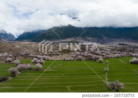 Aerial view of spring landscape in tibet, China Aerial view of spring landscape in tibet, China 105718755