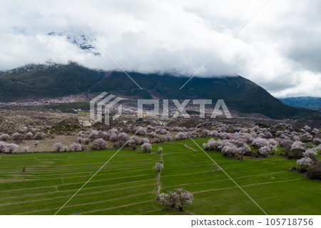 Aerial view of spring landscape in tibet, China 105718756