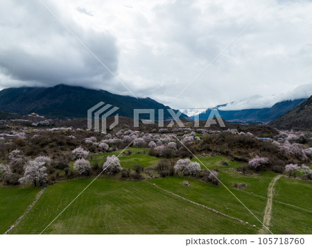 Aerial view of spring landscape in tibet, China Aerial view of spring landscape in tibet, China 105718760