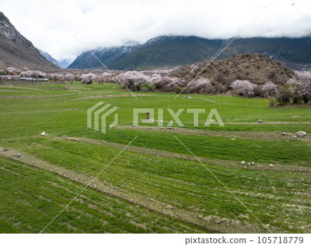 Aerial view of spring landscape in tibet, China 105718779