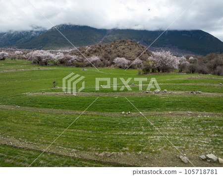 Aerial view of spring landscape in tibet, China Aerial view of spring landscape in tibet, China 105718781
