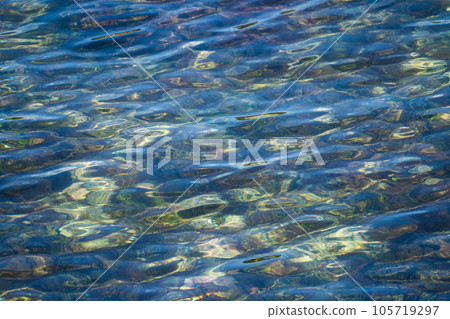 夏季早晨的日本海海面 | 背景素材 | 海面圖像 夏季早晨的日本海海面 | 背景素材 | 海面圖像 105719297