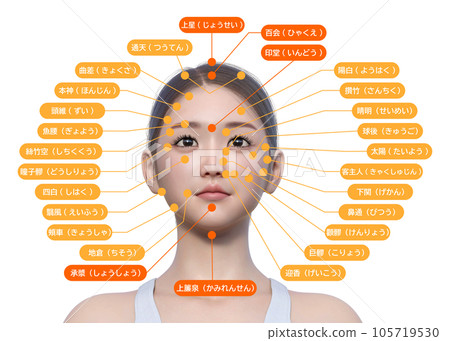 Illustration of the front view of a woman with her eyes open and the names of the points on her face 105719530
