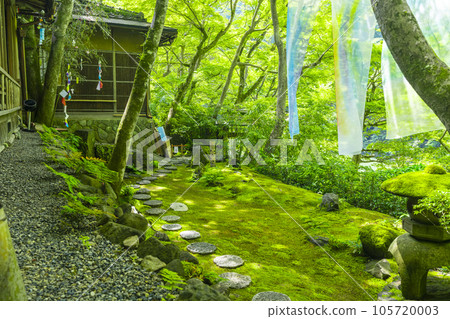 Arashiyama Yusaitei Beautiful garden Season of fresh greenery Arashiyama Yusaitei Beautiful garden Season of fresh greenery 105720003
