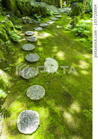 嵐山遊彩亭 美麗的庭園 綠意盎然的季節 105720004