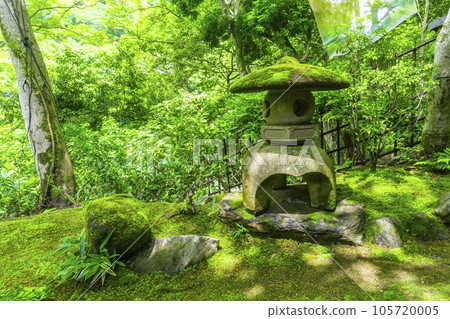 嵐山遊彩亭 美麗的庭園 綠意盎然的季節 105720005