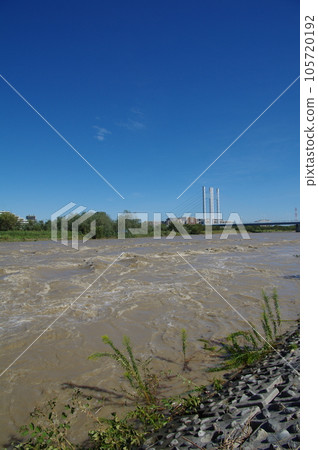 上升的多摩川河和憲法橋 105720192