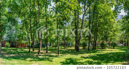 Alleys of the Gorky park in Odessa, Ukraine. Alleys of the Gorky park in Odessa, Ukraine. 105722183