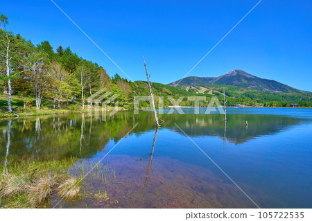 從長野縣蓼科町女神湖眺望蓼科山 從長野縣蓼科町女神湖眺望蓼科山 105722535