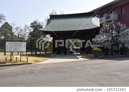 水戶市藥井門、水戶城遺址和盛開的梅花 水戶市藥井門、水戶城遺址和盛開的梅花 105722581