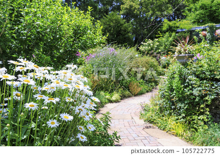 蓼科高原夏季鮮花盛開的 Barakura 英國花園 105722775
