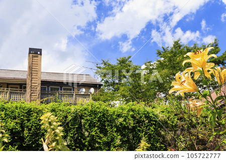Barakura English Garden, full of summer flowers in Tateshina Kogen 105722777