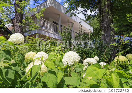 Barakura English Garden, full of summer flowers in Tateshina Kogen 105722780
