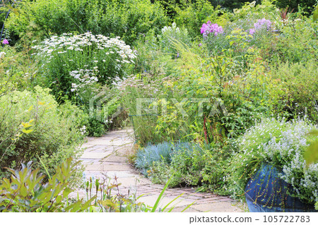 Barakura English Garden, full of summer flowers in Tateshina Kogen Barakura English Garden, full of summer flowers in Tateshina Kogen 105722783