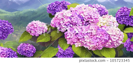 Mountain spring landscape, mountains with snowy peaks, lilac flower bushes, cartoon flat spring nature, green pasture meadow with forests, beautiful spring day mountains, vector illustration banner Mountain spring landscape, mountains with snowy peaks, lilac flower bushes, cartoon flat spring nature, green pasture meadow with forests, beautiful spring day mountains, vector illustration banner 105723345