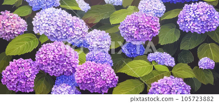 Mountain spring landscape, mountains with snowy peaks, lilac flower bushes, cartoon flat spring nature, green pasture meadow with forests, beautiful spring day mountains, vector illustration banner Mountain spring landscape, mountains with snowy peaks, lilac flower bushes, cartoon flat spring nature, green pasture meadow with forests, beautiful spring day mountains, vector illustration banner 105723882