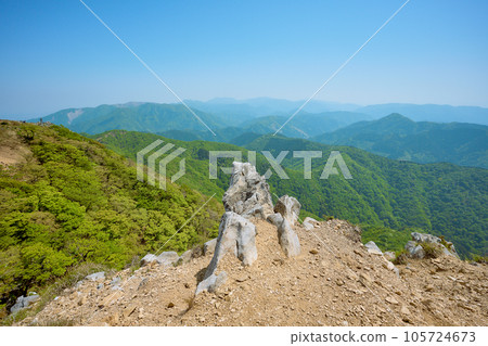 Mt. Oike 105724673