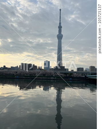 A view of the sky tree 105725137