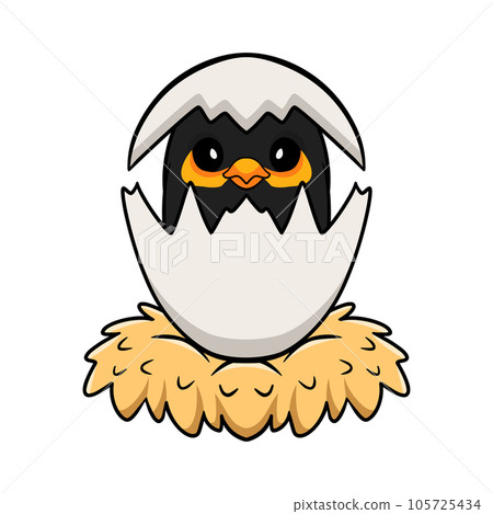 Cute myna bird cartoon inside from egg 105725434