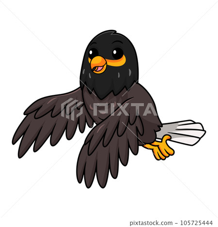 Cute myna bird cartoon flying Cute myna bird cartoon flying 105725444