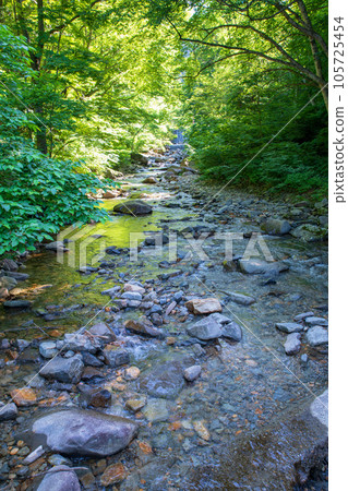 Yubuki Falls upper reaches of the Yubiso River, midsummer scenery, Minakami Town 105725454