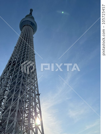 發光在藍天的天空樹 發光在藍天的天空樹 105725457
