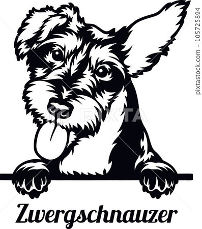Zwergschnauzer Dog - Peeking Dog Breed - Pet Dog Vector Portrait, Dog Silhouette Stencil 105725894