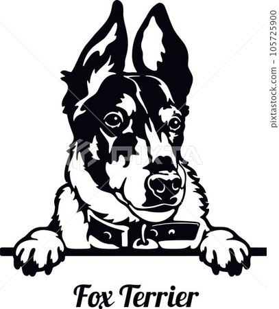 Fox Terrier Dog - Peeking Dog Breed - Pet Dog Vector Portrait, Dog Silhouette Stencil 105725900