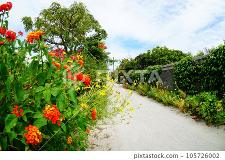 Scenery of Taketomijima Scenery of Taketomijima 105726002