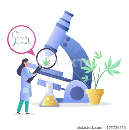 Tiny woman scientist making cannabis laboratory research Tiny woman scientist making cannabis laboratory research 105726253