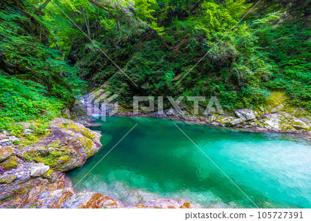 小次川流域的千賀淵 小次川流域的千賀淵 105727391
