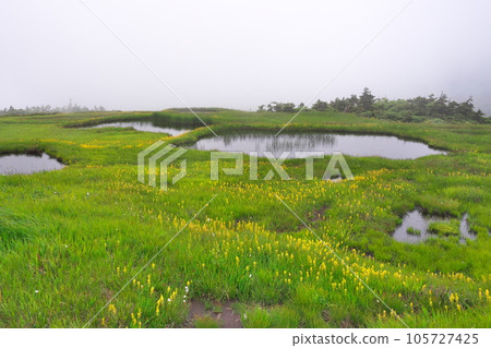 Naeba high moor Naeba high moor 105727425