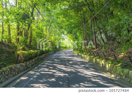 綠樹環繞的京都泉入寺路 105727484