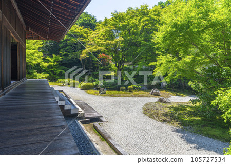 新綠季節的京都泉入寺御座所庭園 105727534