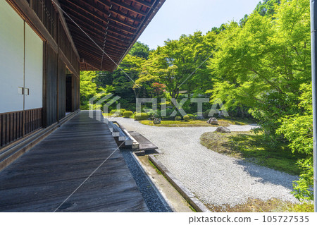 新綠季節的京都泉入寺御座所庭園 105727535