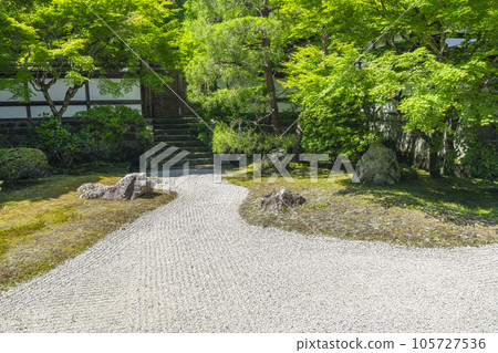 Kyoto Sennyu-ji Temple Gozasho garden in the fresh green season Kyoto Sennyu-ji Temple Gozasho garden in the fresh green season 105727536
