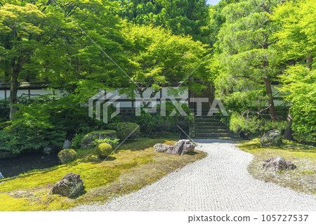 Kyoto Sennyu-ji Temple Gozasho garden in the fresh green season Kyoto Sennyu-ji Temple Gozasho garden in the fresh green season 105727537