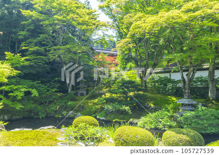 Kyoto Sennyu-ji Temple Gozasho garden in the fresh green season Kyoto Sennyu-ji Temple Gozasho garden in the fresh green season 105727539