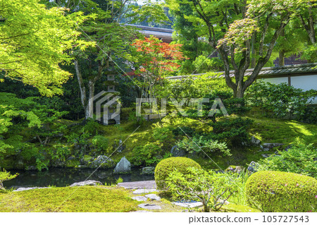 Kyoto Sennyu-ji Temple's beautiful Gozasho garden Kyoto Sennyu-ji Temple's beautiful Gozasho garden 105727543