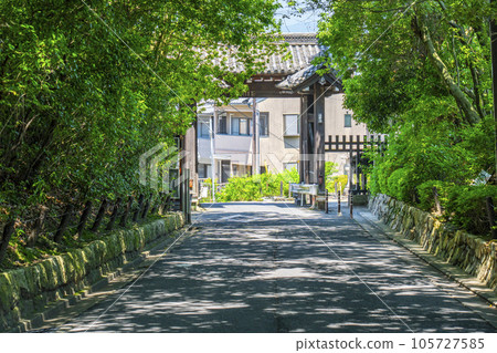 Kyoto Sennyu-ji Road surrounded by fresh green trees Kyoto Sennyu-ji Road surrounded by fresh green trees 105727585